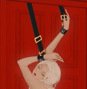Обмежувачі для рук над дверимаUPKO Over the Door Hand Restraints sexstyle