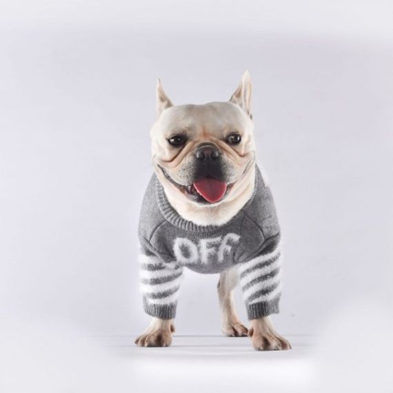 Брендовый свитер для собак OFF WHITE с логотипом на спинке, серый | Зображення 4