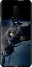 Чохол на OnePlus 7 Pro Димчастий кіт "825b-1696-2448"