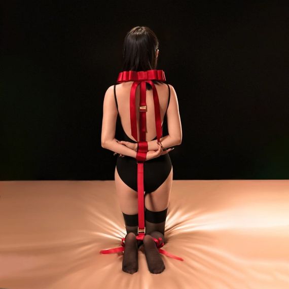 Набір для бондажу UPKO Bondage Fantasy з червоним, бантиками Sex Aura | Зображення 2