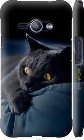 Чохол на Samsung Galaxy J1 Ace J110H Димчастий кіт "825m-215-2448"