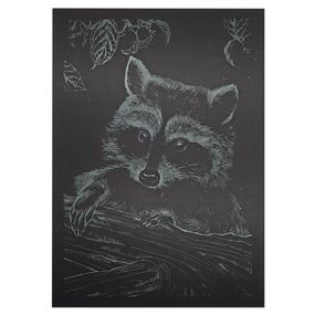 Гравюра А5 "Енот" ГрА5з-10 эконом вариант в пакете 21 х 14,8 см