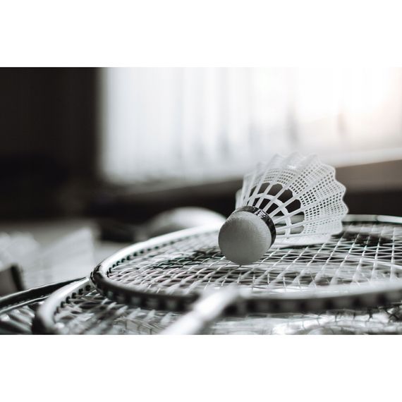 Бадмінтон, спідмінтон, сквош Набір для бадмінтону SportVida Pro 4 шт ракетки + 2 шт волани + сітка (SV-SE0003) | Зображення 1