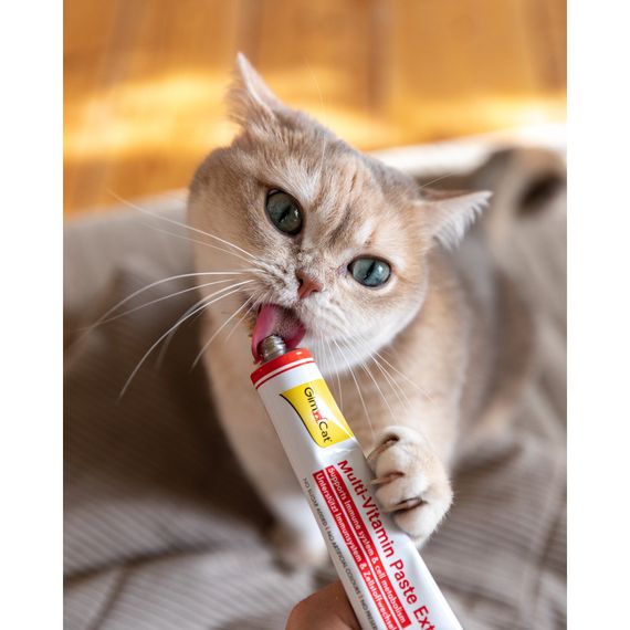Вітаміни GimCat Every Day Extra мультивітамінна паста для котів для покращення імунітета 100 г | Зображення 5