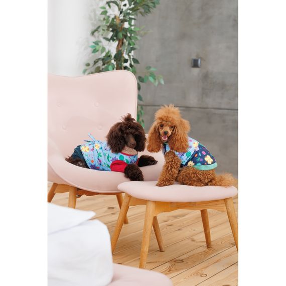 Костюм дівчинка Alisa XS для собак | Зображення 4