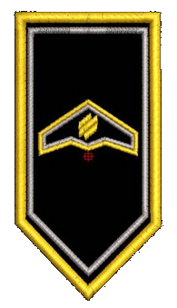 Шеврон РЗ Крила ОП