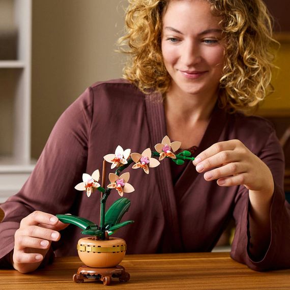 Конструктор ігровий Botanicals Міні орхідея 10343 274 деталі | Зображення 2