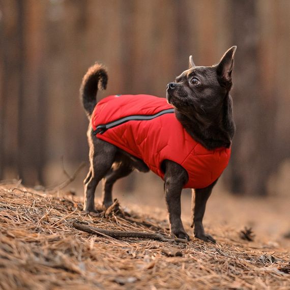 Жилет Pet Fashion E.Vest для собак червоний SМ | Зображення 2