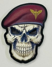 Шеврон Череп ДШВ 3Д