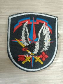 Шеврон разведка управление (редкий) Батальон охраны и обеспечения разведки
