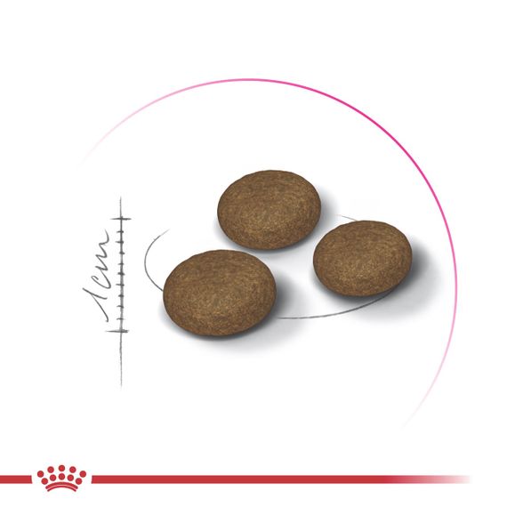 Royal Canin Exigent Fussy сухий корм для вибагливих котів 400 гр | Зображення 1