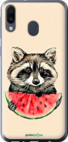 Чохол на Samsung Galaxy M20 Єнотик з кавуном "4605u-1660-2448"