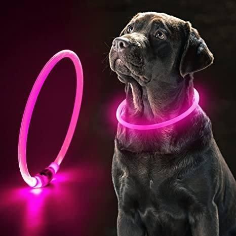 Светящийся LED ошейник, для собак, с USB зарядкой, 38 см, М, Фиолетовый | Зображення 1