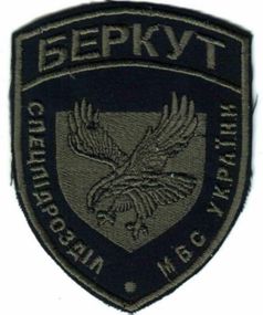 Шеврон Беркут в наличии оригинал (без липучки)