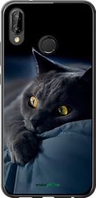 Чохол на Huawei P20 Lite Димчастий кіт "825t-1410-2448"