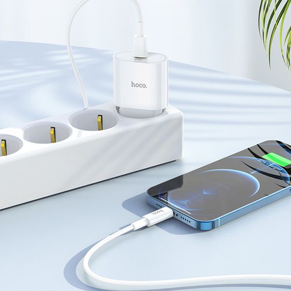 СЗУ Hoco C94A Metro PD20W (1USB-C) + кабель Type-C to Lightning White | Зображення 5