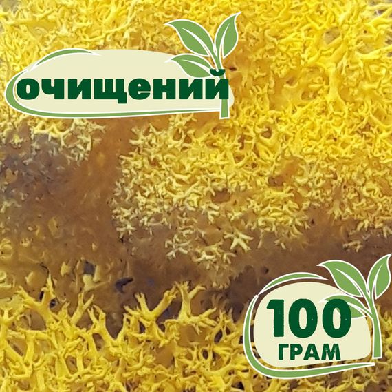 Очищений стабілізований мох ягель Жовтий лимонний 100 грам