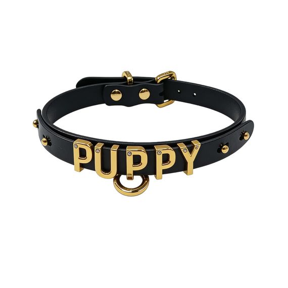 Чокер з написом PUPPY від UPKO з італійської шкіри, чорний із золотою фурнітурою Sex Aura