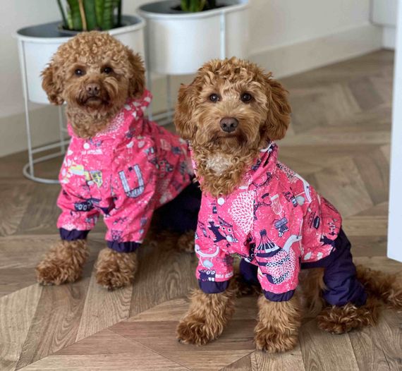 Дощовик Париж M-91 | Зображення 1