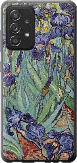 Чехол на Samsung Galaxy A52s 5G A528B Винсент Ван Гог. Ирисы "161u-2583-17620"
