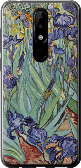 Чехол на Nokia 5.1 Plus Винсент Ван Гог. Ирисы "161u-1543-17620"