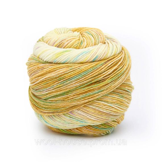 Шкарпеткова пряжа Laines du Nord Paint Gradient Sock, 17 | Зображення 1