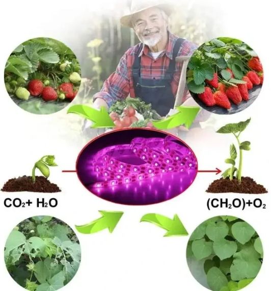 Фітолента для зростання саджанців від USB живлення фітолампа спектр LED 2 м | Зображення 3