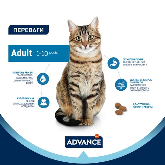 Сухий корм з куркою для котів Advance Cat Chicken & Rice, 6 кг | Зображення 2