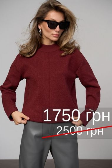 Джемпер 2806 | Зображення 7