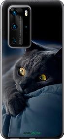 Чохол на Huawei P40 Pro Димчастий кіт "825u-1839-2448"