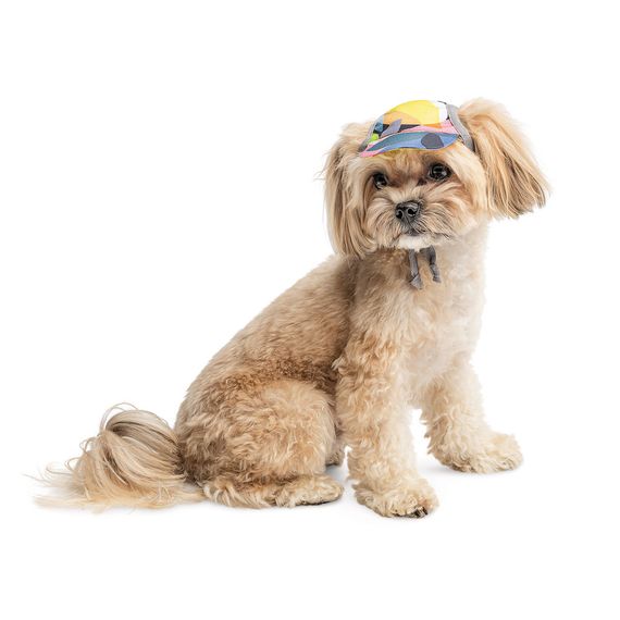 Кепка Tony ТМ Pet Fashion для собак M | Зображення 1