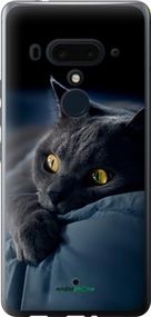 Чохол на HTC U12 Plus Димчастий кіт "825u-1712-2448"