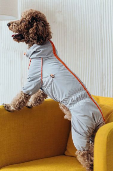 Дощовик кант сiрий M-102