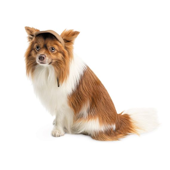 Кепка Phil ТМ Pet Fashion для собак M | Зображення 1