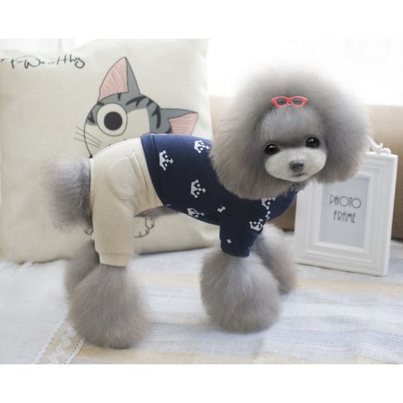 Костюм для собак Cheepet бежевые штаны, принт Короны на спинке, синий | Зображення 2