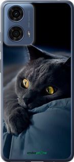 Чохол на Motorola Moto G24 Power Димчастий кіт "825u-3665-2448"