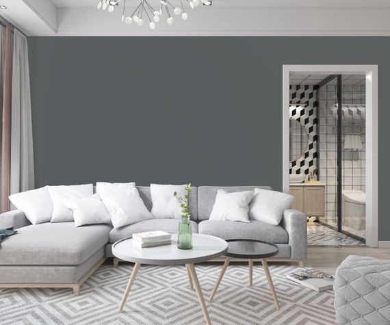 Краска Интерьерная Латексная Skyline RAL 7012 Графитовый Шторм 1л | Зображення 2