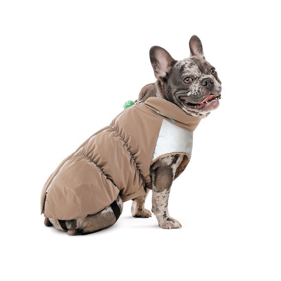 Жилет Chip для собак M3 | Зображення 1