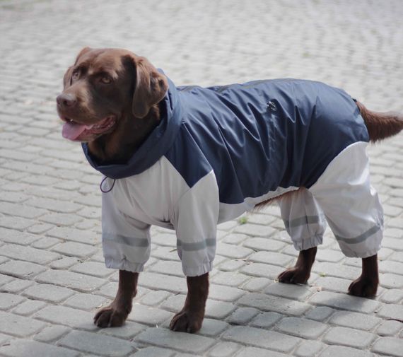 Дощовик для великих собак синiй з сiрим MB-2 | Зображення 3