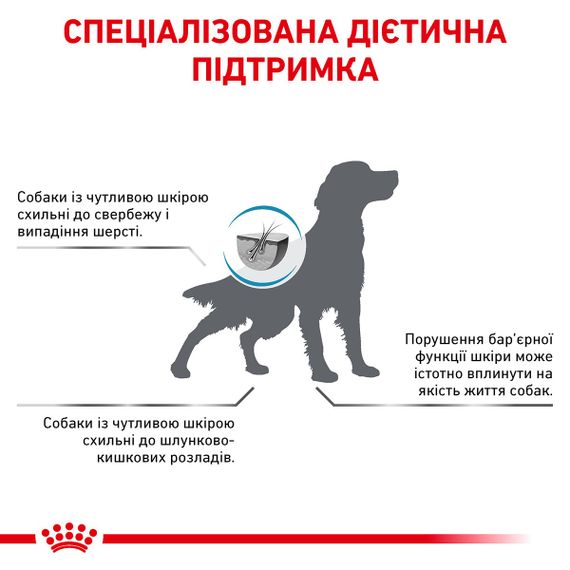 Сухий корм при атопії та дерматозах у собак Royal Canin Skin Care Adult Canine, 2 кг | Зображення 3