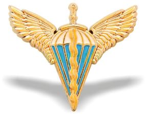 Кокарда "ДШВ" (пластик) No 2