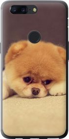 Чехол на OnePlus 5T Boo 2 "890u-1352-17620"