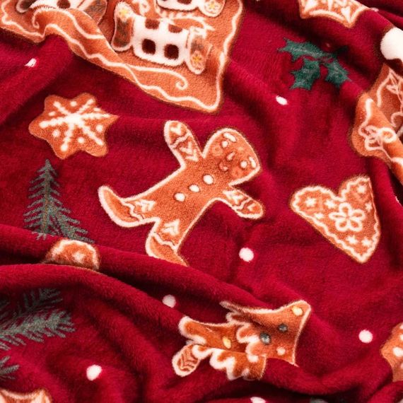 Плед Ardesto Christmas Flannel Імбирні будиночки ART0121PB 160х200 см | Зображення 3