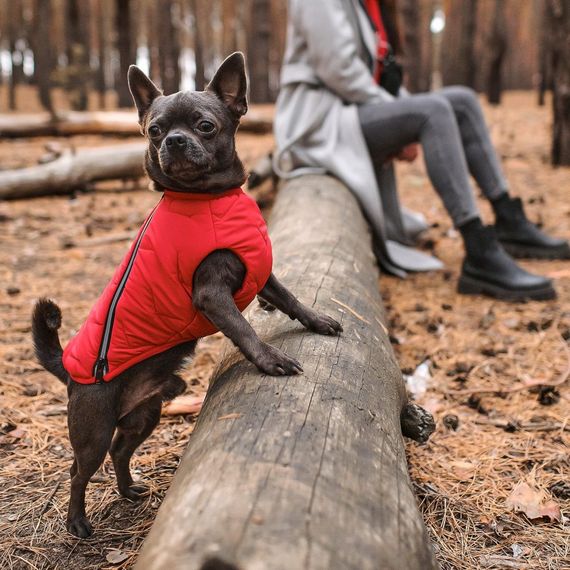 Жилет Pet Fashion E.Vest для собак червоний SМ | Зображення 3