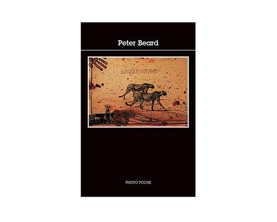 Книга Peter Beard (Серия Photo poche).