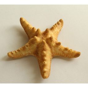 Муляж Морська зірочка