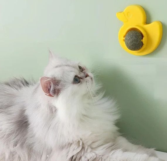 Котяча м'ята AND LY-757 для котів • Іграшка-кулька Pet Toy LY-757 з котячою м'ятою, обертовим роликом і кріпленням на поверхню | Зображення 1