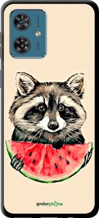 Чохол на Motorola Moto G54 Єнотик з кавуном "4605b-3339-2448"