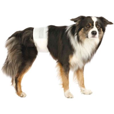 Подгузники для животных Trixie для собак (кобелей) L-XL 60-80 см 12 шт (4011905236438) - Топ Продаж! | Зображення 1