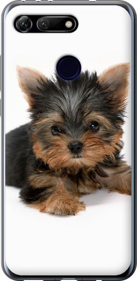 Чехол на Huawei Honor View 20 Щенок йоркширского терьера "931u-1645-17620"